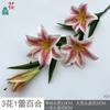 3 flores 1 capullo lirio rama única tres lirios sala de estar hogar flor artificial suave decoración de fondo exterior flor de seda