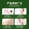 Procesamiento OEM y Personalización 750ml Shengshina Salón de Belleza Spa Masaje Corporal Aceite Esencial Aceite Esencial de Jengibre y Ajenjo