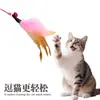 Vara de Brinquedo para Gatos com Sino e Pena, Durável e Resistente à Mordida, Brinquedo para Animal de Estimação de Auto-Entretenimento para Alívio do Tédio, Haste Longa de Arame de Aço Suprimentos para Animais de Estimação