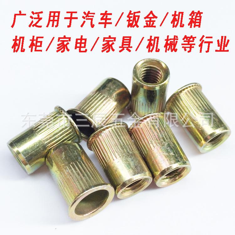 小头竖纹5.jpg