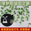 Fixador de Trepadeira de Planta Verde em Estoque, Adesivos de Parede Autoadesivos para Plantas Trepadeiras, Sem Prego, Clips de Parede Sem Marca, Fixadores de Amarração
