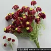 Arte Floral para Casamento Flor Vermelha Material de Fundo Decoração Ikebana Rosa Eucalipto Arranjo para Sala de Estar Interna