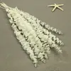 Flor mágica Flor eterna Folhas de eucalipto 100g / pacote Dia dos Namorados diy Material Vaso doméstico Material artesanal