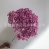 Flor Preservada Haste Única Hortênsia Anna Anna Folha Pequena Bella 40 Cores Personalizado Atacado Presente Dia dos Professores