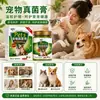 Rei dos Fungos para Animais de Estimação Remédio Universal para Vermifugação de Animais de Estimação para Uso Externo em Cães e Gatos para Remover Pulgas, Carrapatos e Piolhos Venda por Atacado e Dropshipping