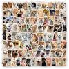 Adesivos fofos de animais pequenos ins wind 100 lindamente embalados urso amarelo gato mão conta adesivos decorativos faça você mesmo