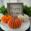 Amazon Comercio Exterior Transfronterizo Nuevos Adornos Decorativos de Calabaza Tejidos a Mano Diseño de Fiesta de Halloween Accesorios de Calabaza