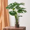 Planta Hidropônica Monstera Planta Verde Purificação do Ar Interno Ave do Paraíso Folha Grande Folhagem Perene de Interior Vaso Tronco Velho