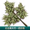 Simulación ramificación enverdecimiento hojas de árbol falso decoración ingeniería jardín pegamento árbol grande hojas de baniano paisajismo accesorios para actuación