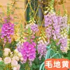 Semilla de flor de enredadera grande campanilla semilla de flor de cuerno grande semillas de petunias flor de enredadera cuatro estaciones siembra planta en maceta
