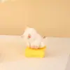 Nueva Caja Sorpresa Corazón Cálido de Gato Giratoria Regalo Infantil Decoración Creativa de Figura de Gato Mascota Linda de Dibujos Animados