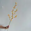 Nova Fruta de Vinha do Sul Estilo Chinês Artificial, Prímula, Casa Modelo, Arranjo de Flores, Flores de Seda Decorativas, Flores Secas para Pousadas