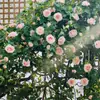 Enredadera de Rosas Simulada de Alta Gama, Enredadera Artificial de Flores Estilo Jardín, Arco de Pared, Envoltura para Tuberías Colgantes, Enredadera Decorativa para Cubrir y Decorar