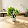 Atacado Mini Ornamentos de Plantas Verdes Decoração de Mesa Tira de Planta Simulação Vaso Listrado Pinheiro Bem-Vindo Malha 10 Plantas Verdes Pequenos Ornamentos