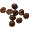Zhen Tu Café Latte Caramelo Atmosférico Gradiente de Cor Café Oval Resina Meia-Redonda DIY Brincos de Alto Padrão Realçadores de Branco