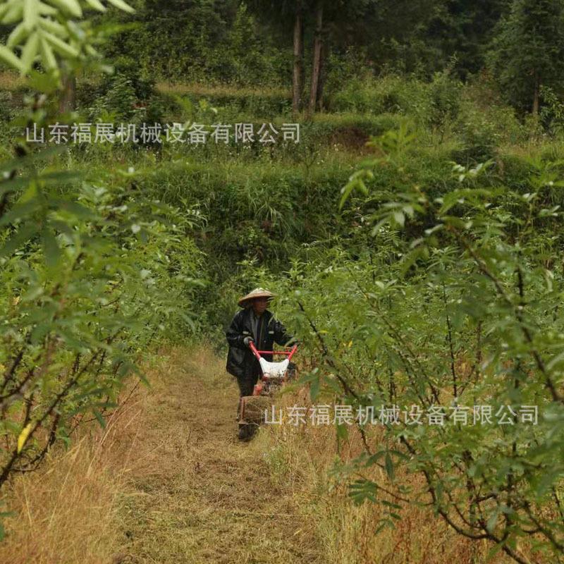 1f7794df5fd1ba9a6a67040857c2b7