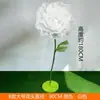 Apertura y Cierre Mecánico Eléctrico Malla de Alambre de Flor Floristería Decoración de Ventana de Evento Apertura y Cierre Automático Flores Artificiales Adornos de Flor