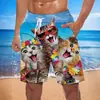 Pantalones de playa holgados europeos y americanos 2024, pantalones de surf de verano con estampado 3D de humo, pantalones cortos de moda para hombre