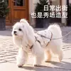 26 Nuevos Modelos de Ropa para Perros para Otoño e Invierno, Chalecos Gruesos de Algodón con Forro de Felpa para Perros Pequeños y Medianos, Perros Teddy y Gatos