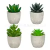 Planta en Maceta Artificial Mini Transfronteriza Hecha a Medida Adornos de Escritorio Bonsái Suculento de Simulación Flor Artificial Planta Verde Pulpa Suculenta Planta en Maceta
