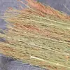 Cepillo de Sorgo Hecho a Mano para Uso Doméstico, Cepillo Tradicional para Ollas, Limpiador de Ollas de Cocina, Cepillo de Sorgo