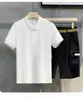 Polo de hombre casual de verano de estilo japonés, sencillo, de color sólido, a rayas, entallado, de punto, a la moda, versátil, ligeramente maduro