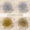 Arte de Uñas de Moda Hilo Dorado y Plateado Línea Fina Moda Japonesa Línea de Decoración de Uñas Metálica Dorada Plateada