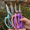 Fabricante Venta al por Mayor Tijeras Florales, Tijeras para Arreglos Florales, Tijeras de Podar, Tijeras para Ramas de Flores, Tijeras de Podar, Tijeras de Entrenamiento para Floristas para Flores