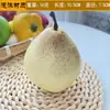 Espuma Frutas e Vegetais Artificiais Modelo Banana Artificial Maçã Laranja Enfeites Adereços Decorativos para Fotos