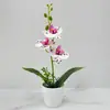 Flores de Phalaenopsis Simuladas 3 Flores en Maceta Oficina Sala de Estar Arreglo Floral de Escritorio Bonsái Fotografía Adornos de Flores Falsas de Plástico