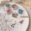 Arte de Uñas Flores Secas Adornos para Uñas Pintura al Óleo Jardín de Monet Pétalos Estilo Ins Japonés Flores Pequeñas Florales Mixtos Materiales DIY