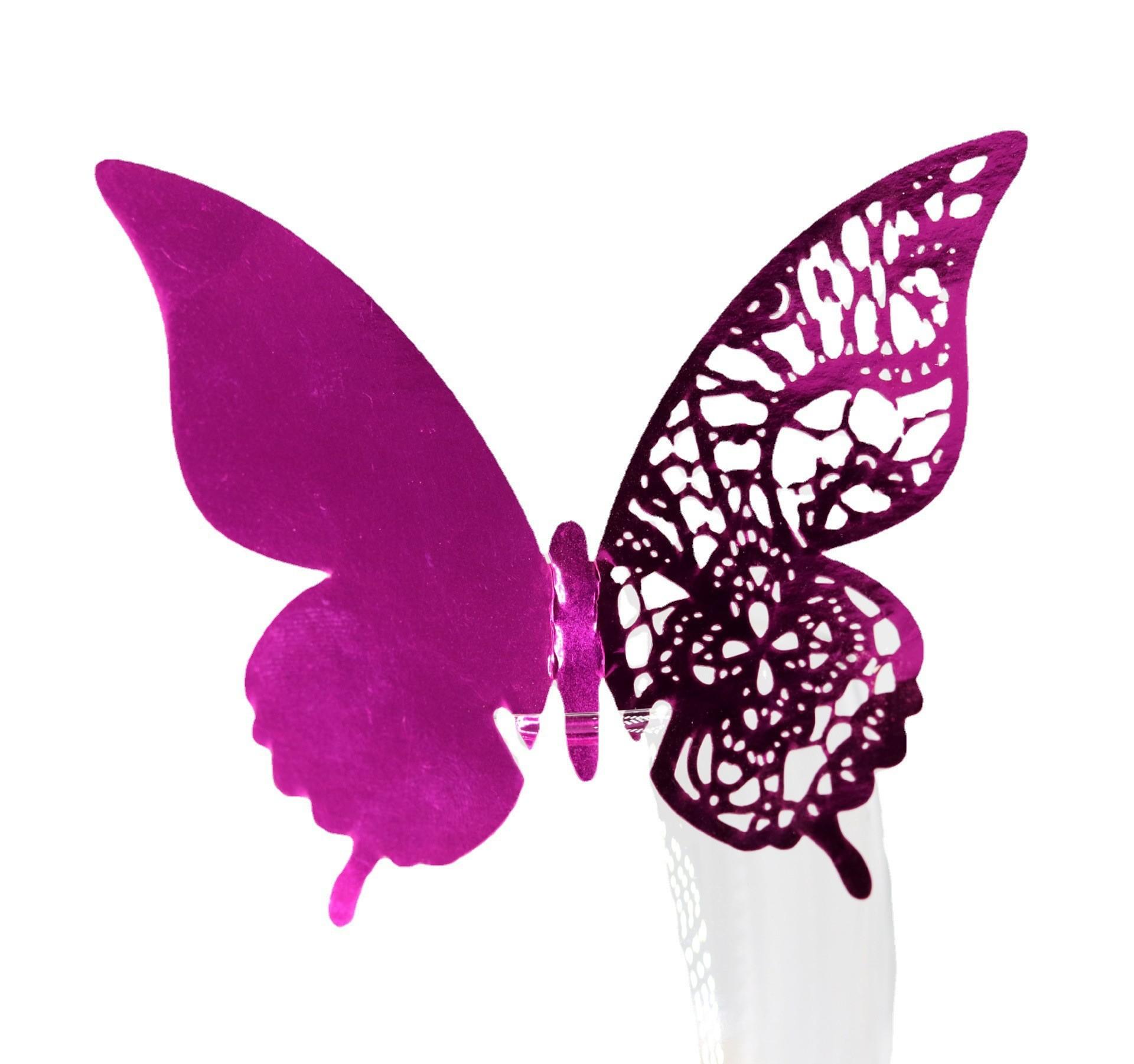 O1CN01ex4Ikt1Bs2g4Llpa4_!!0-0-