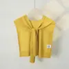 Xale de Tricô Fino com Design Vazado da Moda Outonal Transfronteiriço, Colete Personalizado Estilo Feriado para Usar sobre uma Camisa