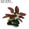 Decoración de Paisajismo para Acuario, Hojas de Hierba Acuática Simuladas, Madera Flotante, Plantas Simuladas, Adornos de Algas Marinas, Hojas de Seda Simulada, Decoración de Acuario