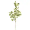 Envío Directo de Fábrica de Accesorios de Fotografía de Hoja de Eucalipto Premium de Tres Ramas Transfronterizos, Paisajes de Jardín, Decoraciones Artificiales de Flores para Bodas