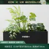 Caja de flores decoración flores y plantas arreglo floral producto terminado adorno de planta verde venta de restaurante oficina mampara canaleta de flores paisajismo biónico