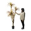 Estilo Nórdico Simulação Planta Verde Dracenas Sala de Estar Falsas Biônicas Dracenas Árvore Orquídea Tiyang Enfeites de Chão Plantas Falsas em Vaso
