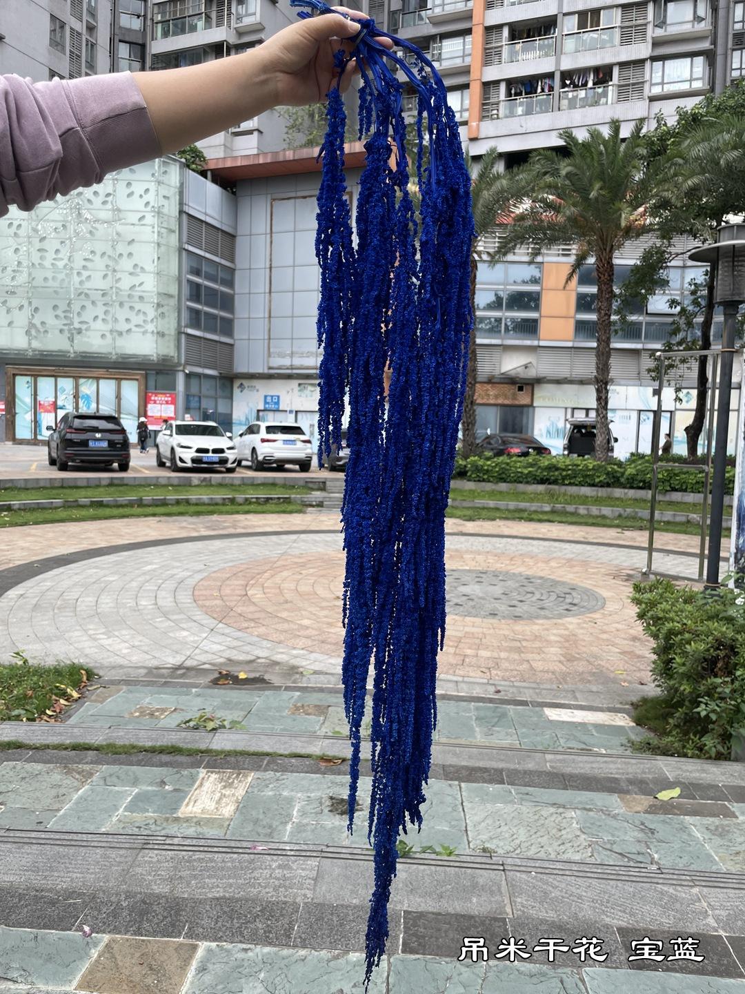 微信图片_20220502122008.jpg
