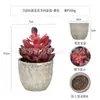 Planta en Maceta Artificial Mini Transfronteriza Hecha a Medida Adornos de Escritorio Bonsái Suculento de Simulación Flor Artificial Planta Verde Pulpa Suculenta Planta en Maceta