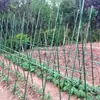 Enrejado para guisantes, Enrejado para pepinos, Estructura de soporte para frijoles trepadores, Enrejado para huerto, Estante de plantación de verduras, Poste de soporte para plantas