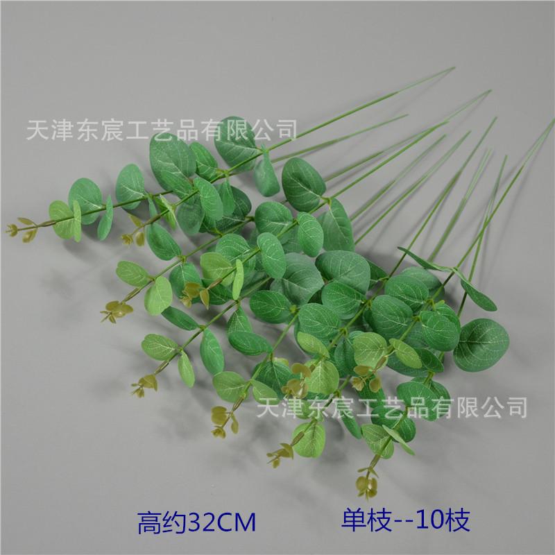 201--10枝_副本.jpg