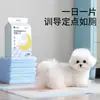 Diário de Gatinho Cão Pads de Fralda Espessos Desodorizantes Suprimentos Descartáveis para Animais