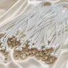 Cadena de Bolso de Perlas Fábrica Venta al por Mayor Correa Larga Hombro Único Correa Larga para Hombro Accesorios para Bolso de Equipaje Correa Cruzada