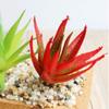 023 Cabeça de Flor de Planta Suculenta Série Cores de Outono Suprimentos Criativos DIY Acessórios de Parede de Flores de Plástico Planta de Flor Artificial Verde