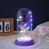 Cubierta de cristal con flor eterna, venta al por mayor, nuevo regalo creativo, adornos de escritorio con rosas, cadena de luces LED de colores, luz nocturna