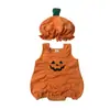Romper de Bebé Estilo Coreano Nuevo Otoño 2026 Estilo Ins Diseño de Calabaza de Halloween Mameluco Bodysuit Festivo para Bebé