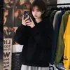Sudadera con capucha casual, gruesa y de peso pesado, para primavera y otoño, anti-pilling, lavable, resistente a las arrugas, unisex, jersey estilo coreano