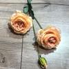 Flores de Boda Vintage Nuevo 2023 Otoño Curry Bronce Té con Leche Caramelo Flores de Boda al por Mayor