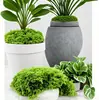 Musgo Artificial Decoración de Plantas Verdes Transfronteriza Paisajismo Césped de Musgo Artificial DIY Musgo Inmortal en Maceta Forma de Seda para Pavimentación