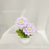 Producto Terminado Más Vendido Transfronterizo: Linda Planta en Maceta de Flor de Cerezo y Crisantemo, Regalo para el Día del Maestro, Regalo para el Día de la Madre, Regalo de Decoración para el Hogar